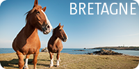 photographe nature Bretagne
